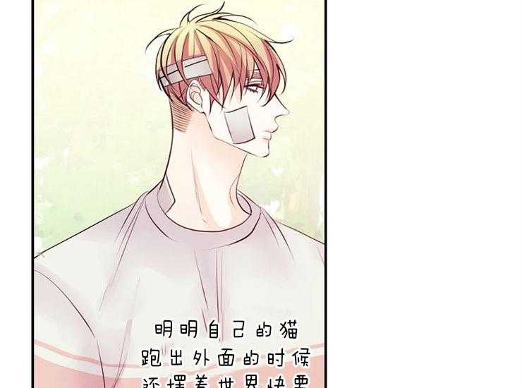 《捡只毛毛做老攻》漫画最新章节第13话 13_立场免费下拉式在线观看章节第【29】张图片