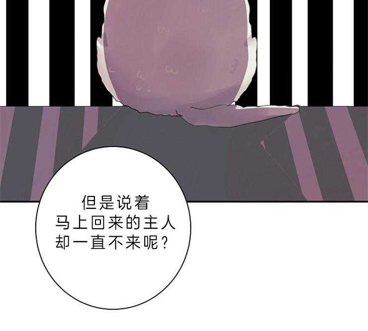 《捡只毛毛做老攻》漫画最新章节第13话 13_立场免费下拉式在线观看章节第【35】张图片