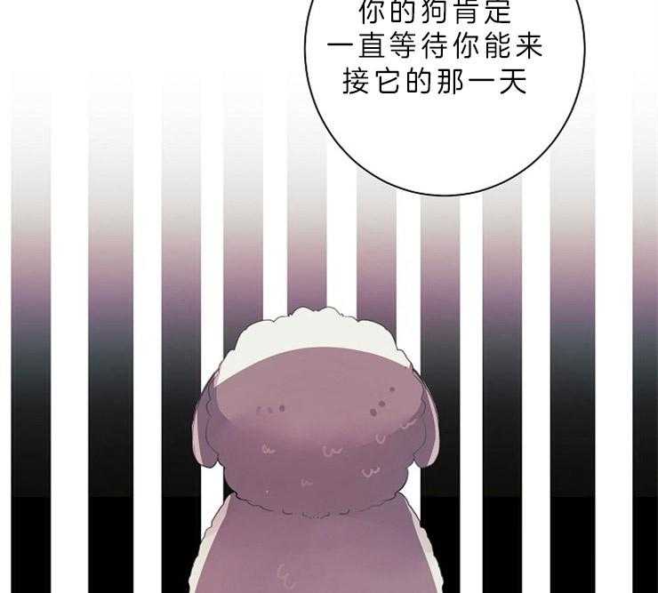 《捡只毛毛做老攻》漫画最新章节第13话 13_立场免费下拉式在线观看章节第【36】张图片