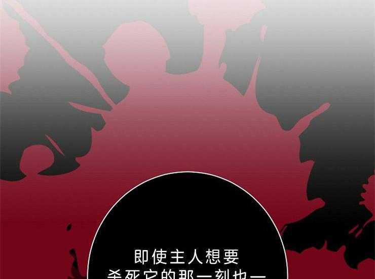 《捡只毛毛做老攻》漫画最新章节第14话 14_主人是全部了免费下拉式在线观看章节第【32】张图片