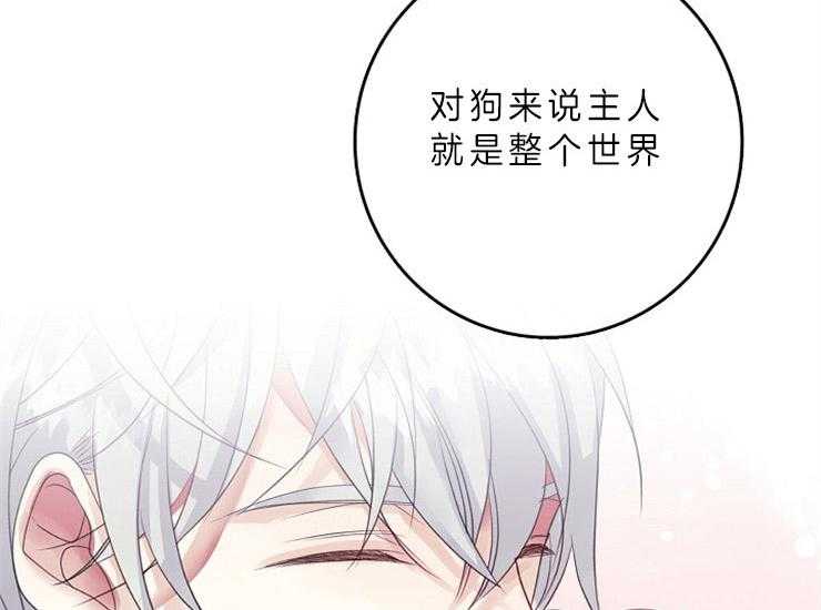 《捡只毛毛做老攻》漫画最新章节第14话 14_主人是全部了免费下拉式在线观看章节第【36】张图片