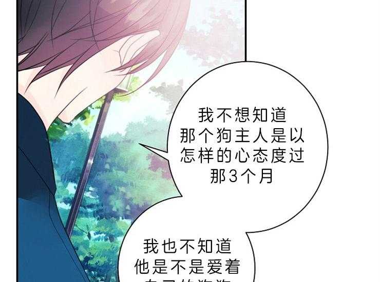 《捡只毛毛做老攻》漫画最新章节第14话 14_主人是全部了免费下拉式在线观看章节第【28】张图片