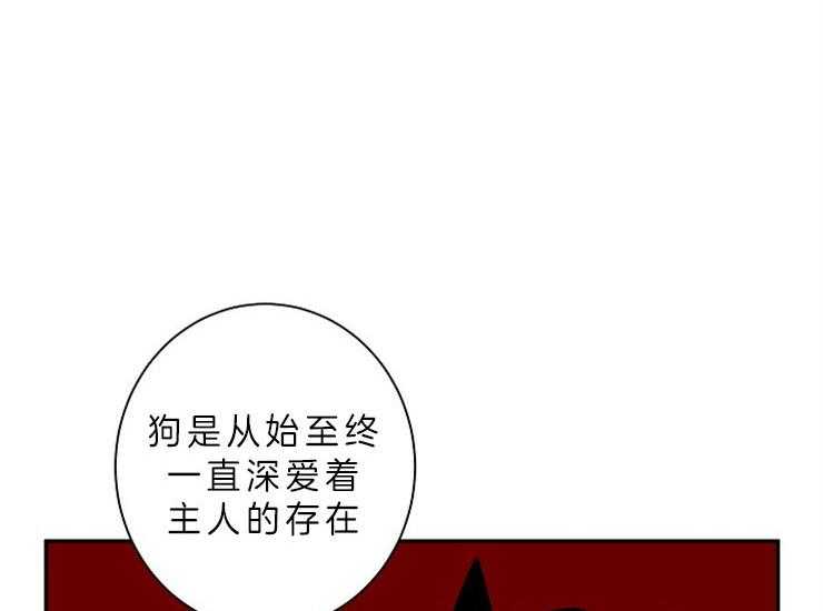 《捡只毛毛做老攻》漫画最新章节第14话 14_主人是全部了免费下拉式在线观看章节第【34】张图片