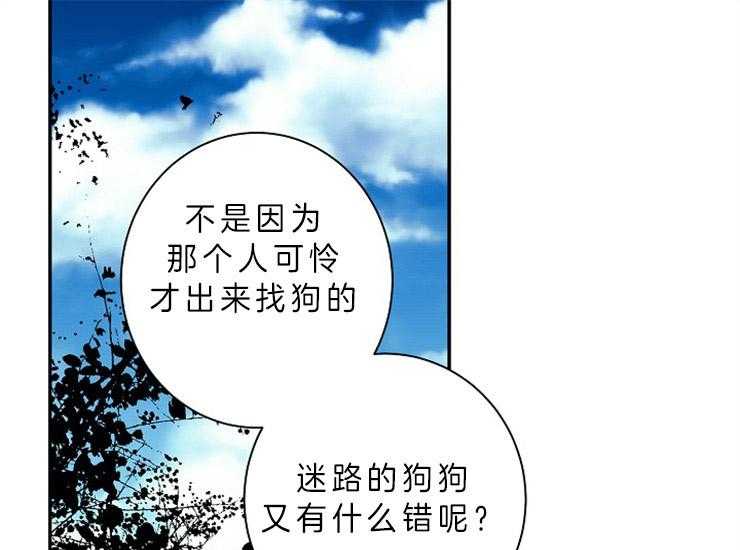 《捡只毛毛做老攻》漫画最新章节第14话 14_主人是全部了免费下拉式在线观看章节第【19】张图片