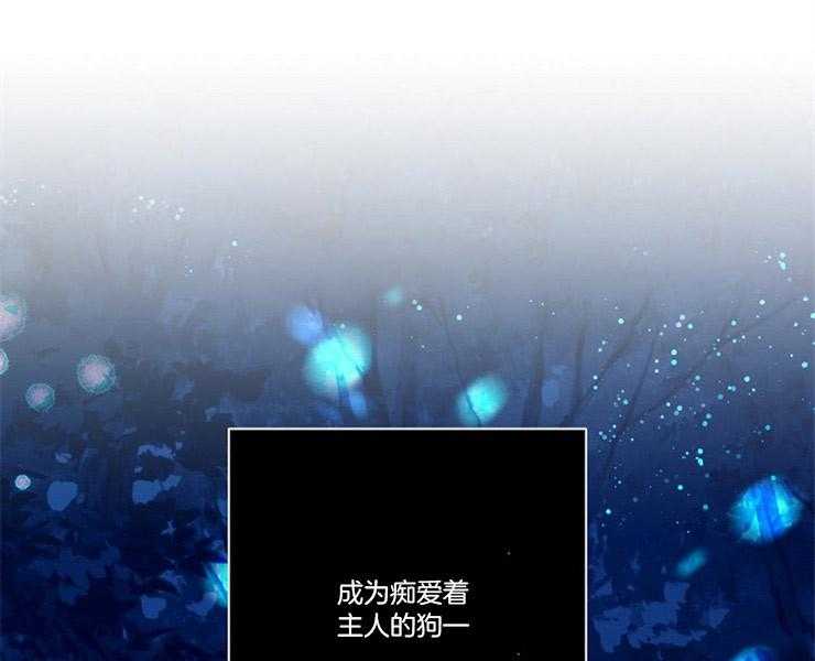 《捡只毛毛做老攻》漫画最新章节第17话 17_顺从免费下拉式在线观看章节第【2】张图片