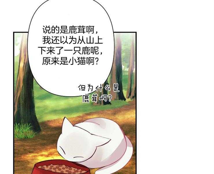 《捡只毛毛做老攻》漫画最新章节第19话 19_酬金免费下拉式在线观看章节第【10】张图片