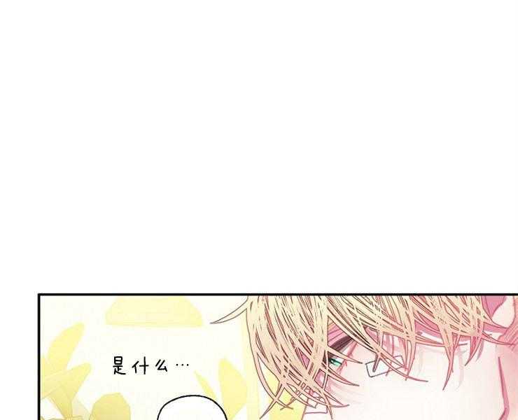 《捡只毛毛做老攻》漫画最新章节第19话 19_酬金免费下拉式在线观看章节第【25】张图片