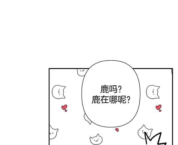 《捡只毛毛做老攻》漫画最新章节第19话 19_酬金免费下拉式在线观看章节第【12】张图片