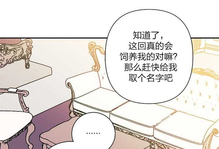 《捡只毛毛做老攻》漫画最新章节第21话 21_取名免费下拉式在线观看章节第【23】张图片