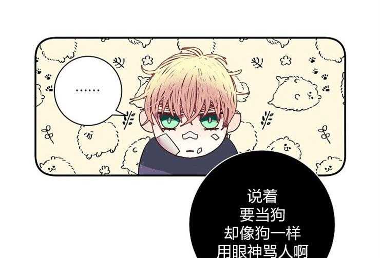 《捡只毛毛做老攻》漫画最新章节第21话 21_取名免费下拉式在线观看章节第【21】张图片