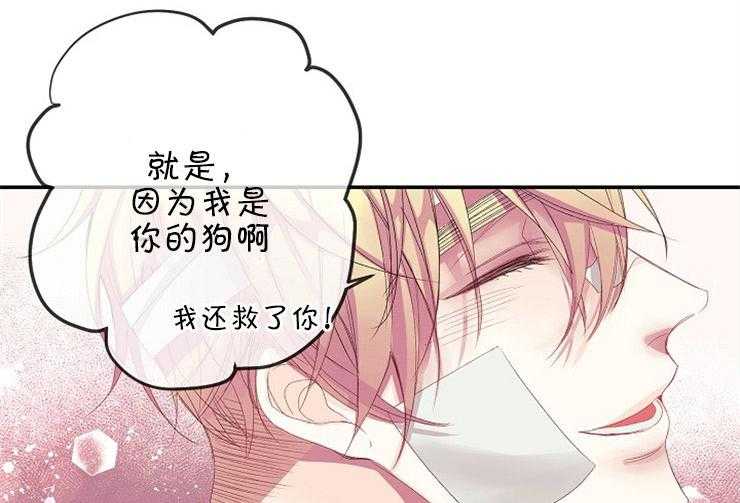 《捡只毛毛做老攻》漫画最新章节第21话 21_取名免费下拉式在线观看章节第【33】张图片