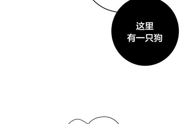 《捡只毛毛做老攻》漫画最新章节第22话 22_完成任务免费下拉式在线观看章节第【40】张图片