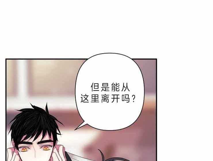 《捡只毛毛做老攻》漫画最新章节第24话 24_等了他十年免费下拉式在线观看章节第【42】张图片