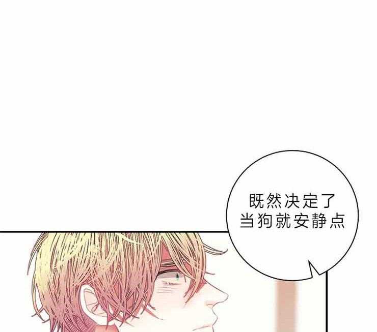 《捡只毛毛做老攻》漫画最新章节第24话 24_等了他十年免费下拉式在线观看章节第【24】张图片