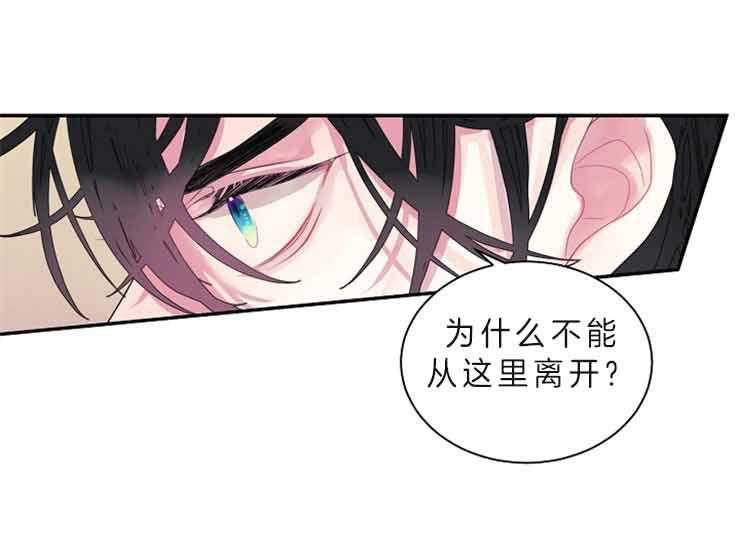 《捡只毛毛做老攻》漫画最新章节第24话 24_等了他十年免费下拉式在线观看章节第【40】张图片