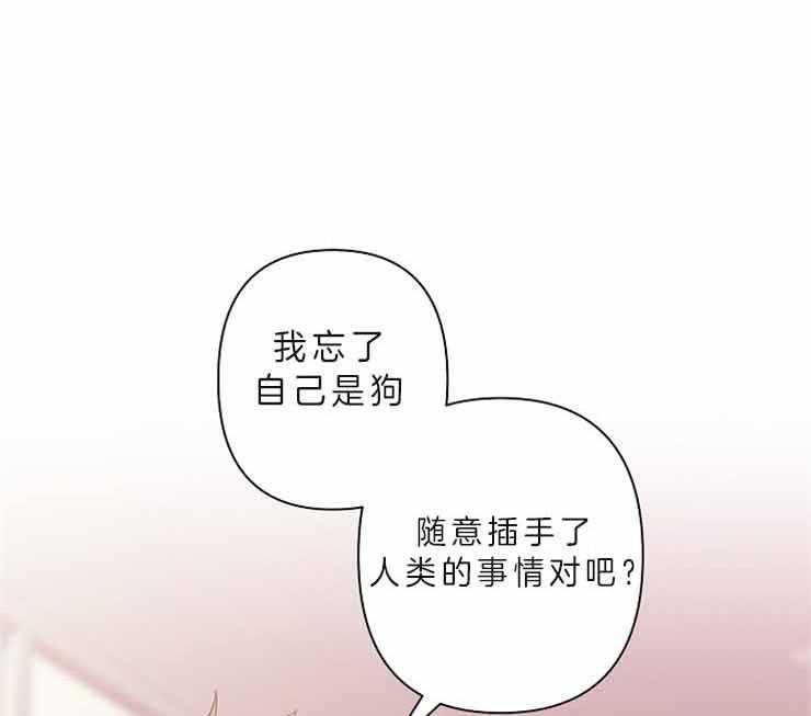 《捡只毛毛做老攻》漫画最新章节第24话 24_等了他十年免费下拉式在线观看章节第【9】张图片