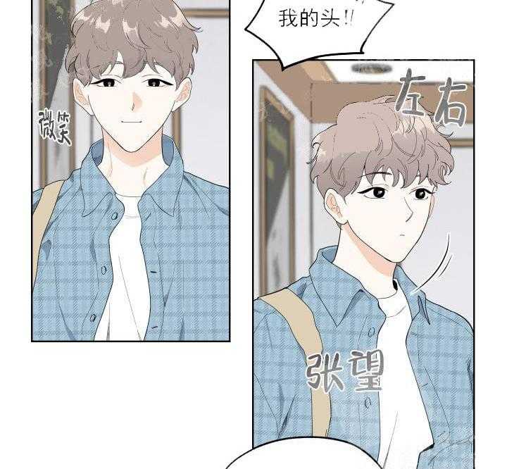 《一塌糊涂的爱情》漫画最新章节第4话 送花免费下拉式在线观看章节第【41】张图片