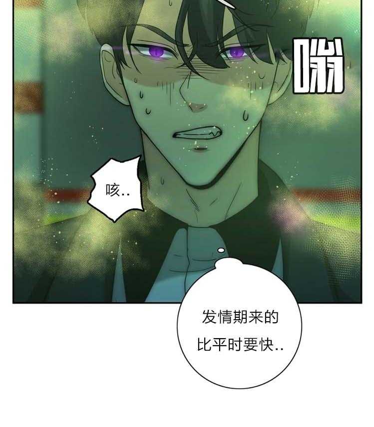 《K的秘密》漫画最新章节第19话 厌恶信息素免费下拉式在线观看章节第【51】张图片