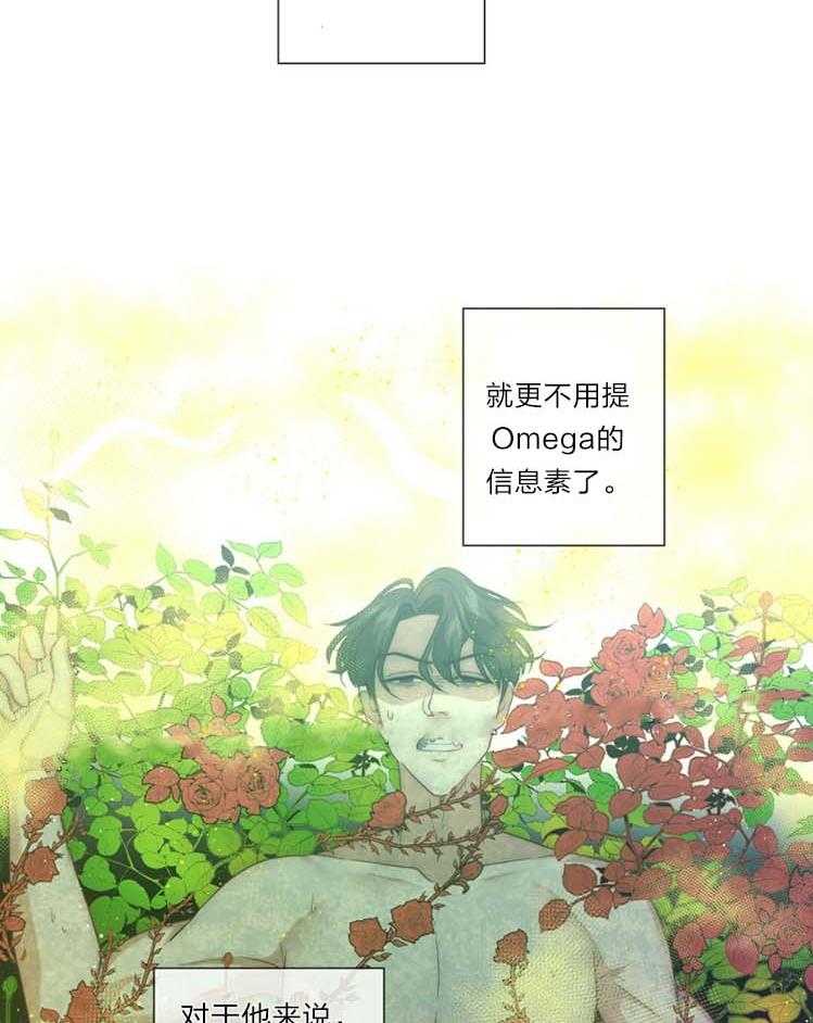 《K的秘密》漫画最新章节第19话 厌恶信息素免费下拉式在线观看章节第【2】张图片