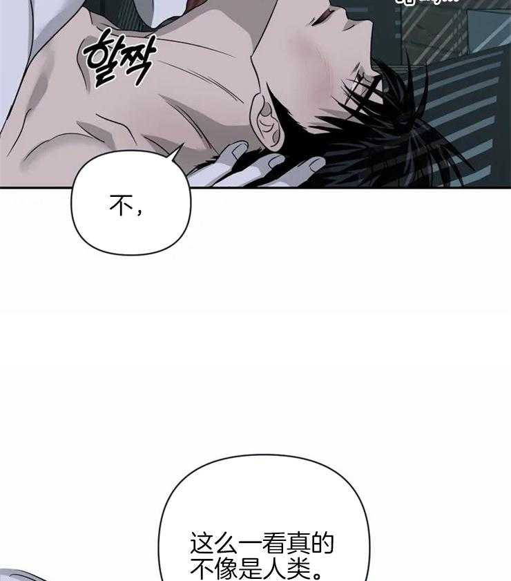 《封锁界限》漫画最新章节第44话 血是热的免费下拉式在线观看章节第【28】张图片