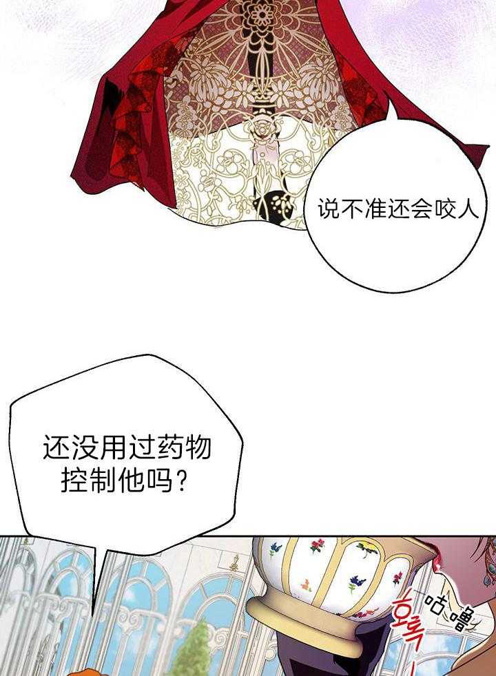 《哔-文反派如何自救》漫画最新章节第27话 都不正常免费下拉式在线观看章节第【5】张图片