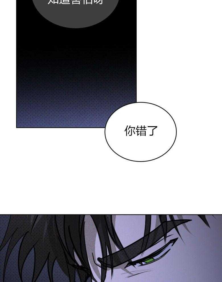 《绿色镌像》漫画最新章节第79话 请你记起我免费下拉式在线观看章节第【29】张图片