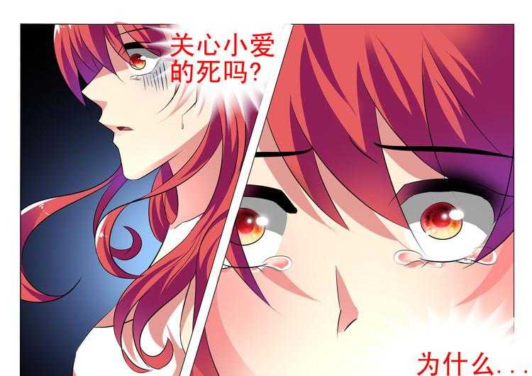 《豪门刺客》漫画最新章节第3话 3免费下拉式在线观看章节第【12】张图片