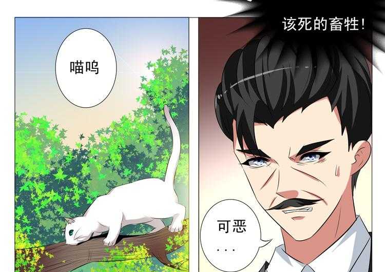 《豪门刺客》漫画最新章节第87话 87免费下拉式在线观看章节第【16】张图片