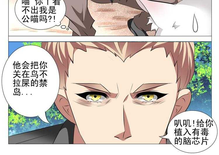 《豪门刺客》漫画最新章节第87话 87免费下拉式在线观看章节第【5】张图片