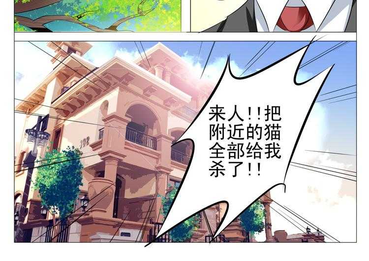 《豪门刺客》漫画最新章节第87话 87免费下拉式在线观看章节第【15】张图片