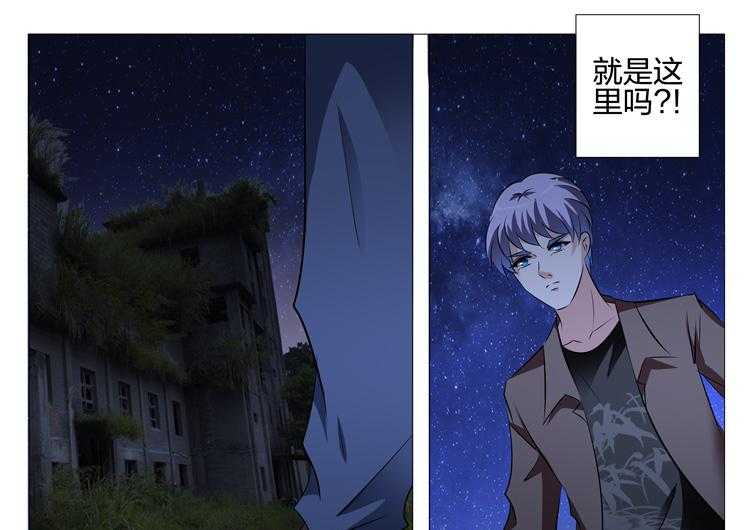 《豪门刺客》漫画最新章节第116话 116免费下拉式在线观看章节第【16】张图片