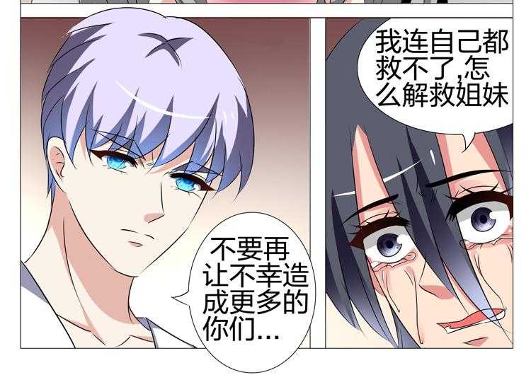 《豪门刺客》漫画最新章节第161话 161免费下拉式在线观看章节第【5】张图片