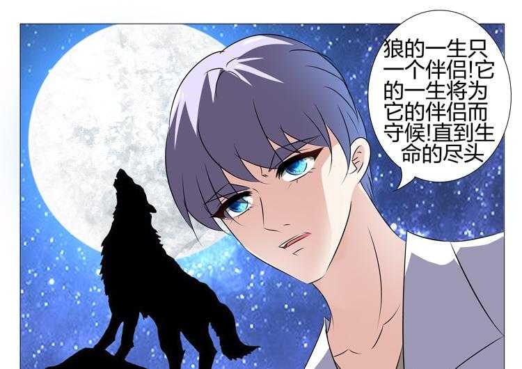 《豪门刺客》漫画最新章节第161话 161免费下拉式在线观看章节第【16】张图片