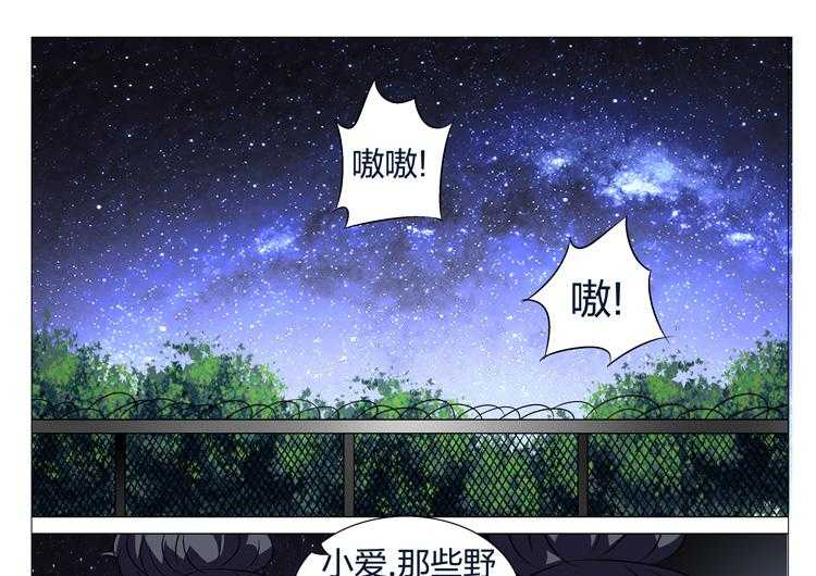 《豪门刺客》漫画最新章节第171话 171免费下拉式在线观看章节第【16】张图片