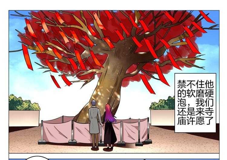 《豪门刺客》漫画最新章节第207话 207免费下拉式在线观看章节第【20】张图片