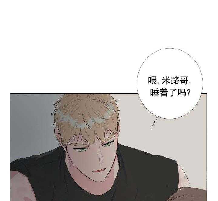 《爱情与激情》漫画最新章节第24话 有趣免费下拉式在线观看章节第【5】张图片