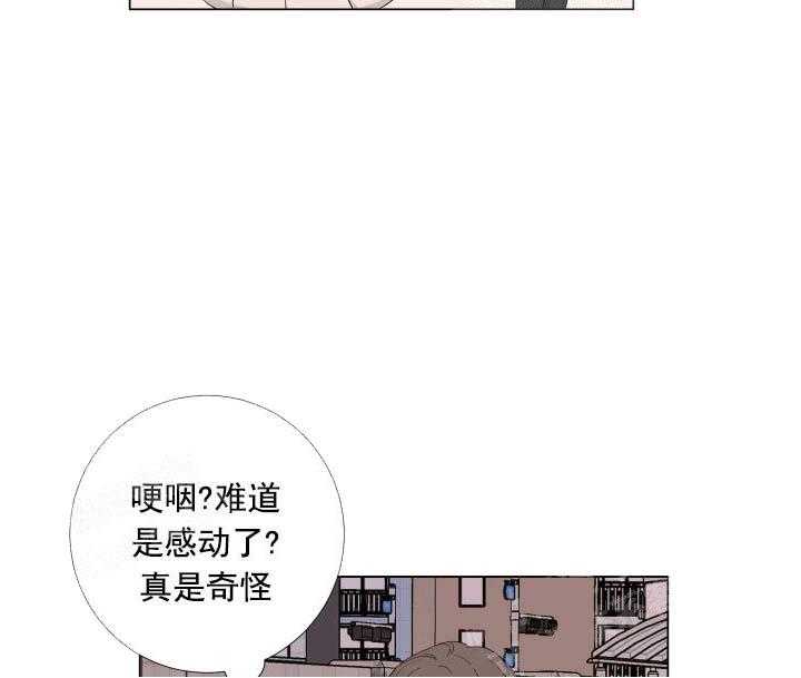 《爱情与激情》漫画最新章节第24话 有趣免费下拉式在线观看章节第【40】张图片