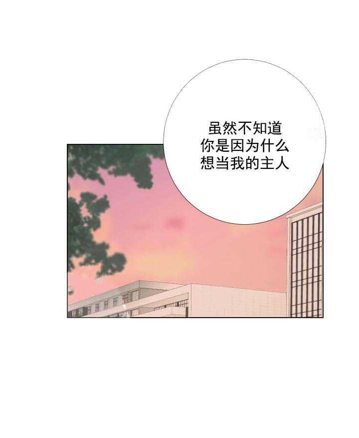 《爱情与激情》漫画最新章节第24话 有趣免费下拉式在线观看章节第【48】张图片