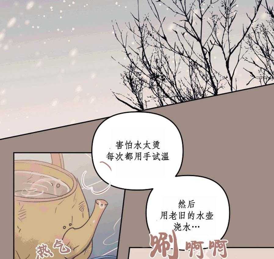 《秘密疗法》漫画最新章节第37话 不合适免费下拉式在线观看章节第【33】张图片