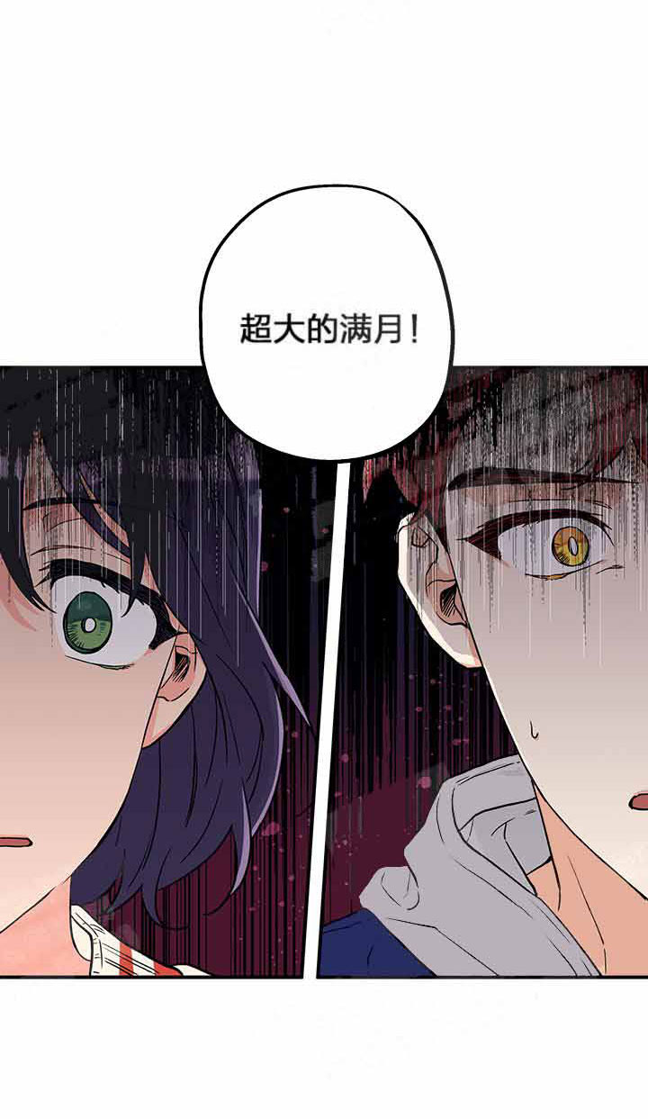 《蠢狼抱枕饲养录》漫画最新章节第2话 2_满月来了免费下拉式在线观看章节第【11】张图片