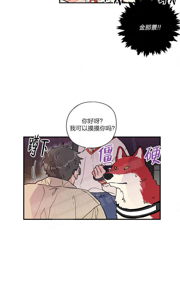 《蠢狼抱枕饲养录》漫画最新章节第3话 3_这狗真帅免费下拉式在线观看章节第【13】张图片