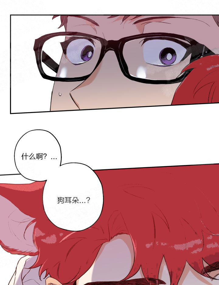 《蠢狼抱枕饲养录》漫画最新章节第14话 14_耳朵露出来了免费下拉式在线观看章节第【2】张图片