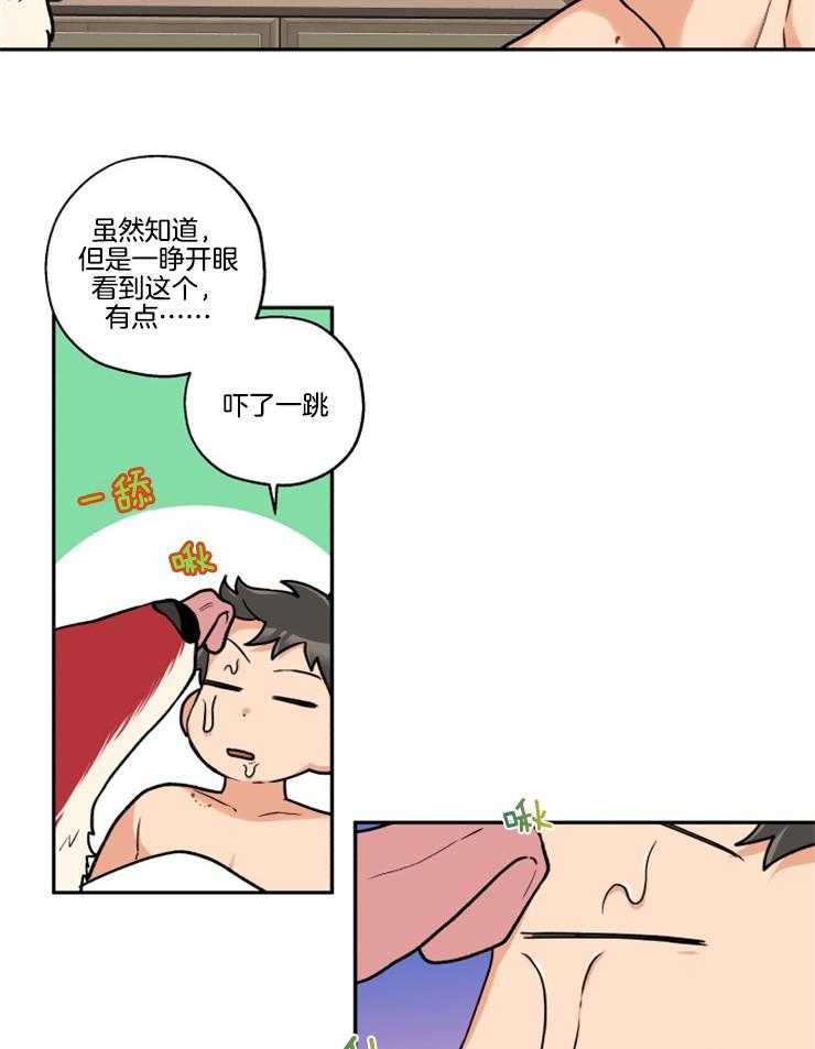 《蠢狼抱枕饲养录》漫画最新章节第22话 又变狼了免费下拉式在线观看章节第【11】张图片