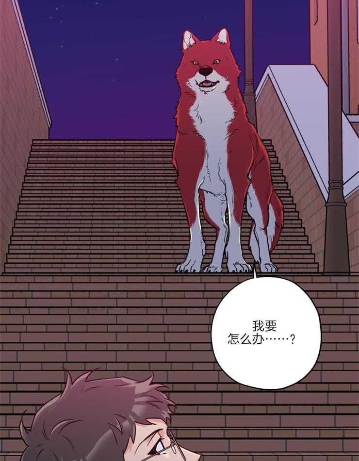 《蠢狼抱枕饲养录》漫画最新章节第34话 维持现状免费下拉式在线观看章节第【15】张图片