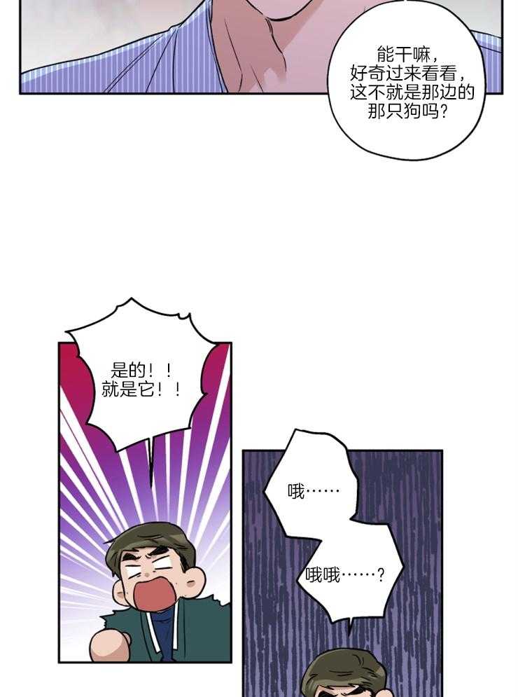 《蠢狼抱枕饲养录》漫画最新章节第35话 被拍照了免费下拉式在线观看章节第【11】张图片