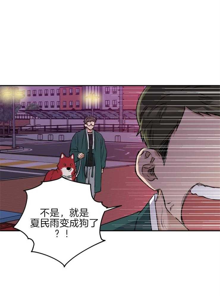 《蠢狼抱枕饲养录》漫画最新章节第35话 被拍照了免费下拉式在线观看章节第【17】张图片