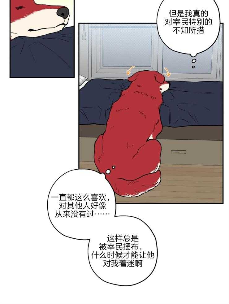 《蠢狼抱枕饲养录》漫画最新章节第36话 撒泼打滚免费下拉式在线观看章节第【12】张图片