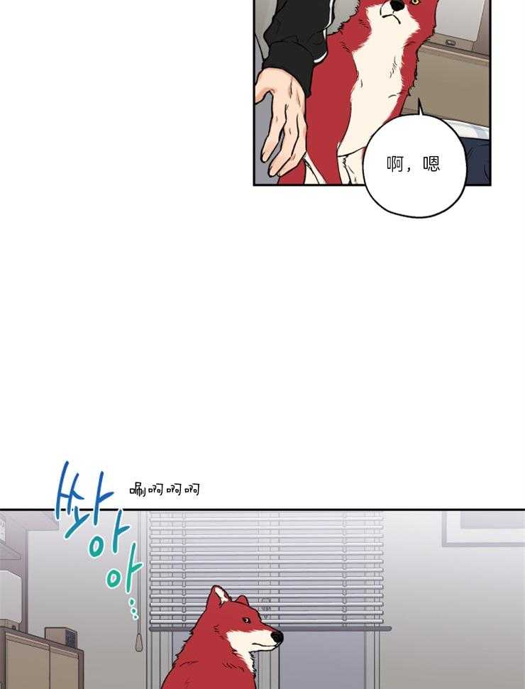 《蠢狼抱枕饲养录》漫画最新章节第36话 撒泼打滚免费下拉式在线观看章节第【14】张图片