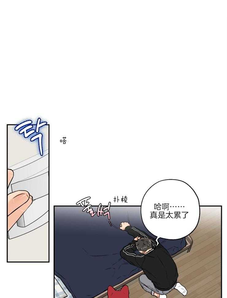 《蠢狼抱枕饲养录》漫画最新章节第36话 撒泼打滚免费下拉式在线观看章节第【20】张图片