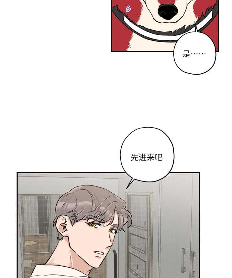 《蠢狼抱枕饲养录》漫画最新章节第38话 送上门免费下拉式在线观看章节第【4】张图片